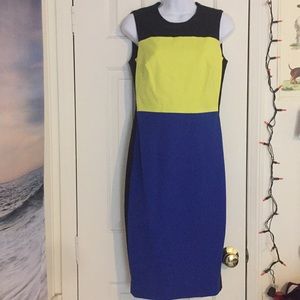 Calvin Klein color block dress (4)